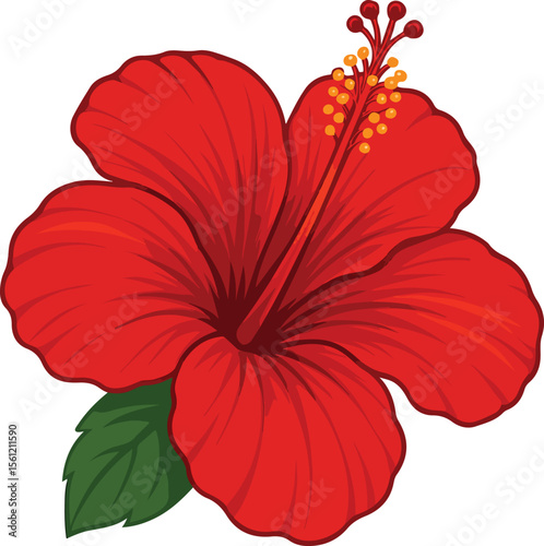 Beautiful vibrant red hibiscus flower illustration with detailed petals and green leaf