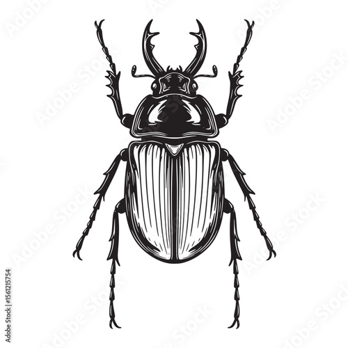 Intricate black and white vector illustration of a detailed stag beetle isolated on white