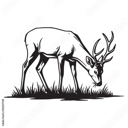 Vector illustration of a majestic deer grazing peacefully on green grass in silhouette