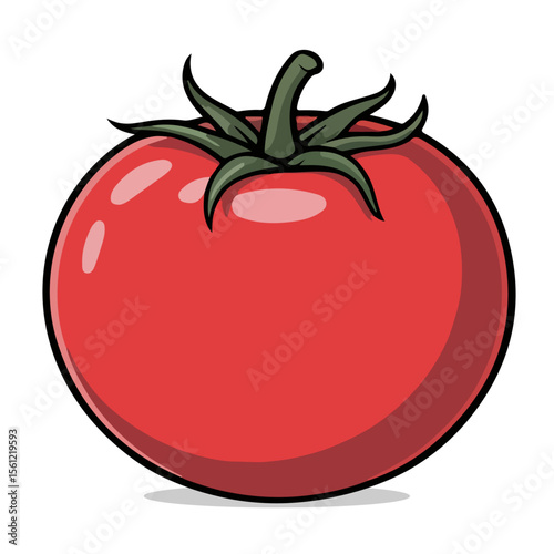 Red tomato vector illustration isolated on white background. tomato, fruit, red, food, vegetable.