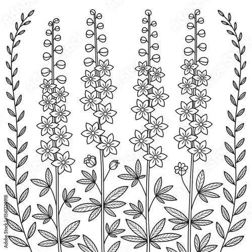 Delphinium flower line drawing coloring page