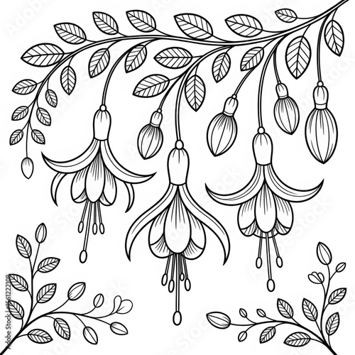 Illustration vector of a fuchsia line coloring page