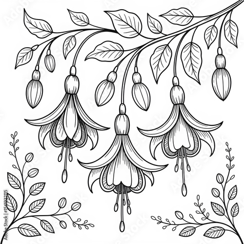 Fuchsia line art coloring page