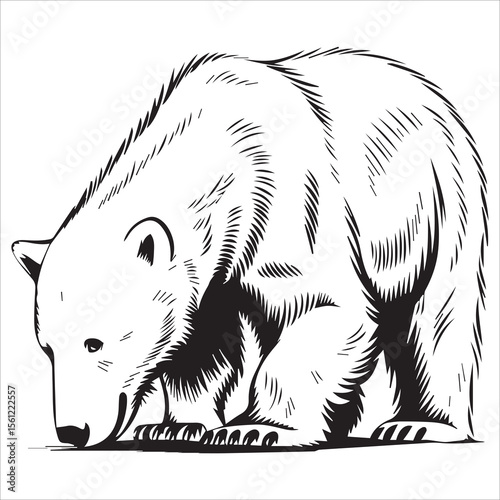 Walking Polar Bear Vector Design