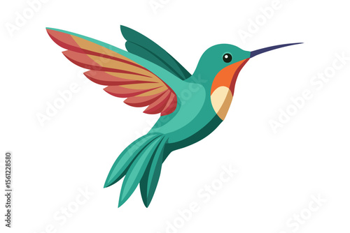 Dainty hummingbird on white background