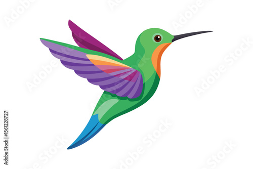 Dainty hummingbird on white background