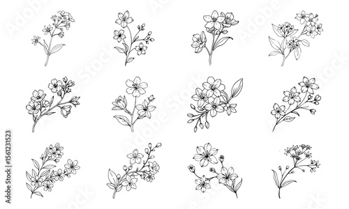 Bundle Kurchi Flower Small White Blossoms With Flat Soft 1 Kurchi Flower Small White Bl