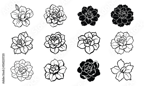 Bundledesert Rose Thick Petals With Flat Red Tones Cle Desert Rose Thick Petals Wi 3