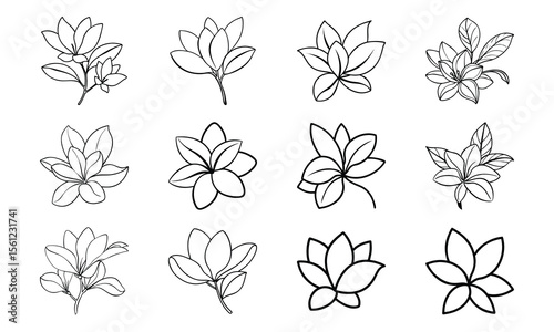 Bundlechampa Flower Soft Yellow Petal Drawing Flat Ton Champa Flower Soft Yellow P 1
