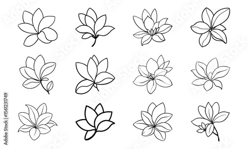 Bundlechampa Flower Soft Yellow Petal Drawing Flat Ton Champa Flower Soft Yellow Pe 2