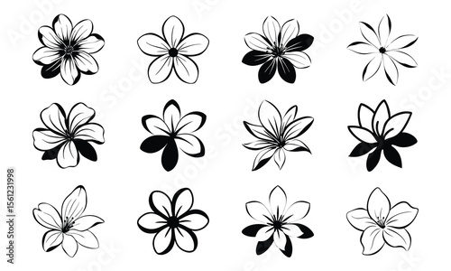 Bundletagar Flower Clean White Petals Soft Flat Fill Tagar Flower Clean White Petal 20