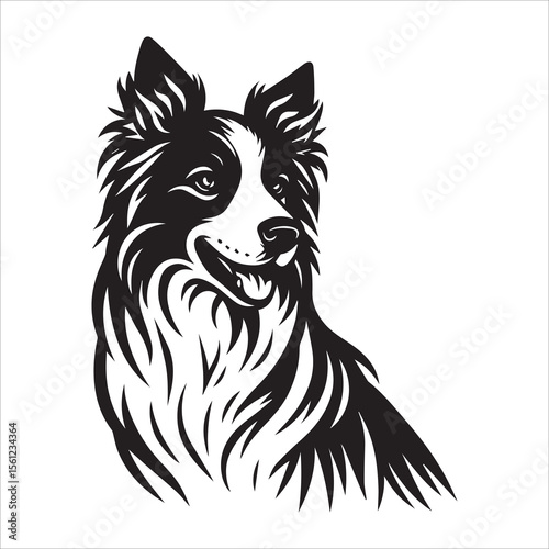 Border Collie Dog Outline Vector Illustration