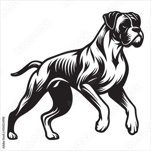 Boxer Dog Outline Vector Illustration
