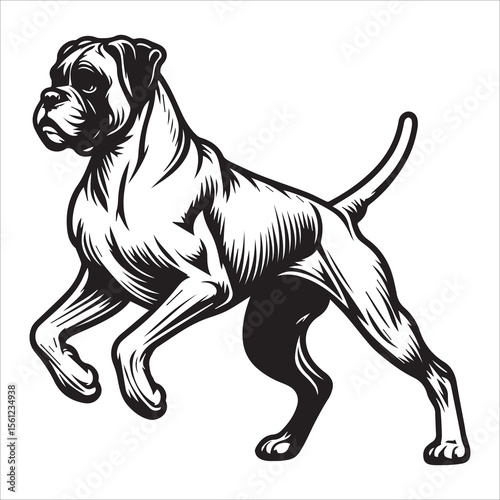 Boxer Dog Outline Vector Illustration