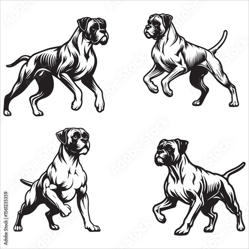 Boxer Dog Outline Vector Illustration