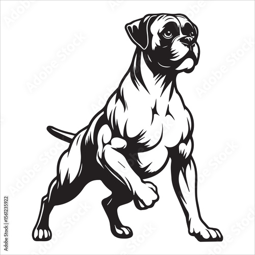 Boxer Dog Outline Vector Illustration