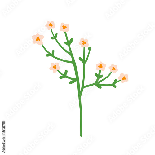 Field flower. Floral plant sprig. Gentle spring wildflower branch with tiny b...
