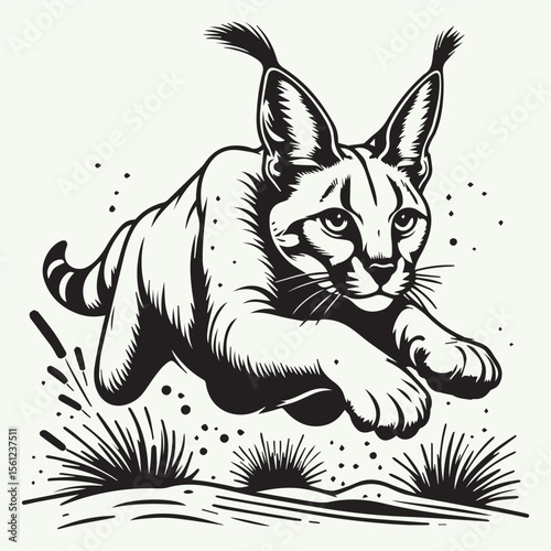 Caracal Leaping in the Desert