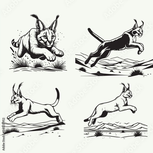 Caracal Leaping in the Desert