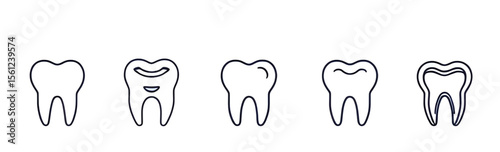 Tooth icon, Tooth vector, Dental icon, Molar tooth, Tooth anatomy, Healthy tooth, Clean tooth, Tooth cartoon, Tooth illustration, Tooth clipart, Flat tooth icon, Realistic tooth, White tooth, Tooth si