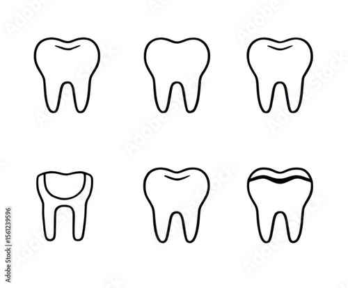 Tooth icon, Tooth vector, Dental icon, Molar tooth, Tooth anatomy, Healthy tooth, Clean tooth, Tooth cartoon, Tooth illustration, Tooth clipart, Flat tooth icon, Realistic tooth, White tooth, Tooth si