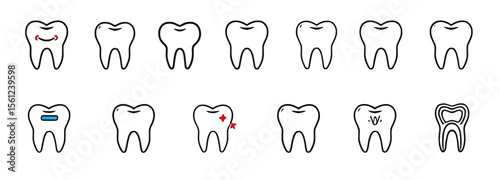 Tooth icon, Tooth vector, Dental icon, Molar tooth, Tooth anatomy, Healthy tooth, Clean tooth, Tooth cartoon, Tooth illustration, Tooth clipart, Flat tooth icon, Realistic tooth, White tooth, Tooth si