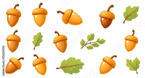 Acorn, Acorn icon, Acorn vector, Autumn acorn, Oak acorn, Acorn illustration, Acorn clipart, Acorn drawing, Brown acorn, Cute acorn, Cartoon acorn, Realistic acorn, Acorn with leaf, Acorn and oak leaf