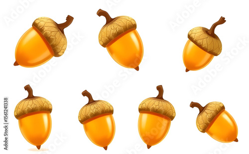 Acorn, Acorn icon, Acorn vector, Autumn acorn, Oak acorn, Acorn illustration, Acorn clipart, Acorn drawing, Brown acorn, Cute acorn, Cartoon acorn, Realistic acorn, Acorn with leaf, Acorn and oak leaf