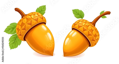 Acorn, Acorn icon, Acorn vector, Autumn acorn, Oak acorn, Acorn illustration, Acorn clipart, Acorn drawing, Brown acorn, Cute acorn, Cartoon acorn, Realistic acorn, Acorn with leaf, Acorn and oak leaf
