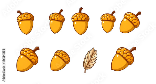 Acorn, Acorn icon, Acorn vector, Autumn acorn, Oak acorn, Acorn illustration, Acorn clipart, Acorn drawing, Brown acorn, Cute acorn, Cartoon acorn, Realistic acorn, Acorn with leaf, Acorn and oak leaf