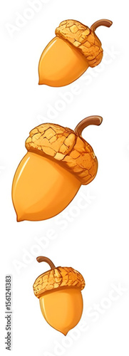 Acorn, Acorn icon, Acorn vector, Autumn acorn, Oak acorn, Acorn illustration, Acorn clipart, Acorn drawing, Brown acorn, Cute acorn, Cartoon acorn, Realistic acorn, Acorn with leaf, Acorn and oak leaf