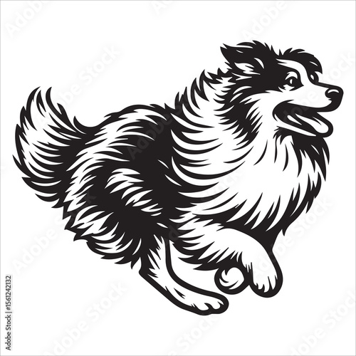 Australian Shepherd Dog Outline Vector