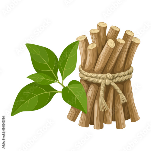Illustration of Ashwagandha or Withania somnifera, also known as Indian ginseng, isolated on white background.bunch of cinnamon sticks