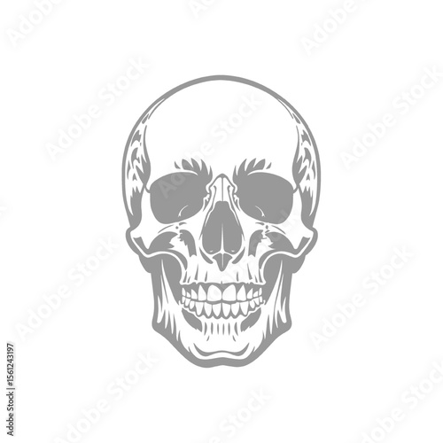 Detailed Skull Design Illustration