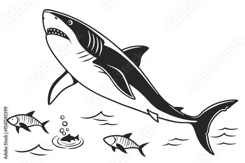 vector illustration of shark