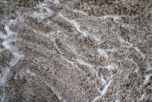 Bild auf Leinwand A detailed close-up of a carpet surface being vigorously cleaned, with white soap suds creating distinct patterns amidst brown fibers