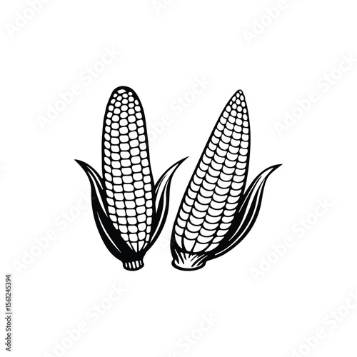 Two Corn Cobs Line Art Illustration