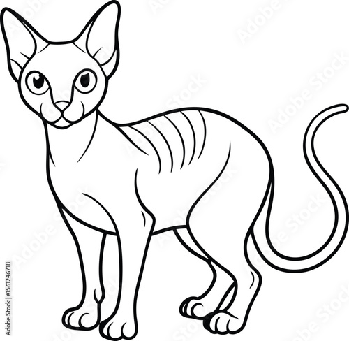 Sphynx Cat Vector Illustration in Minimalist Line Art Style, Sphynx Cat Vector, Hairless Cat Drawing, Elegant Pet Line Art