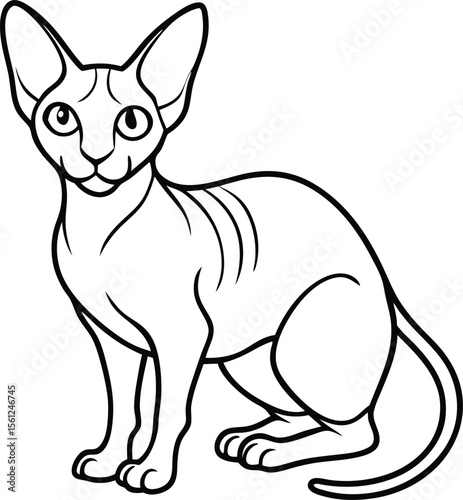 Sphynx Cat Vector Illustration in Minimalist Line Art Style with white background