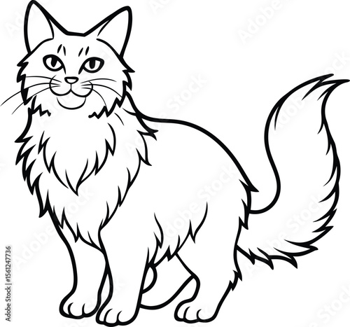 Norwegian Forest Cat Vector Illustration Isolated in Majestic Fluffy Line Art Style, Norwegian Forest Cat Vector, Fluffy Forest Cat Drawing, Majestic Pet Illustration