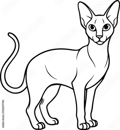 Oriental Shorthair Cat Illustration Isolated in Elegant Minimal Line Art Style, Oriental Shorthair Vector, Sleek Cat Drawing, Minimal Pet Illustration