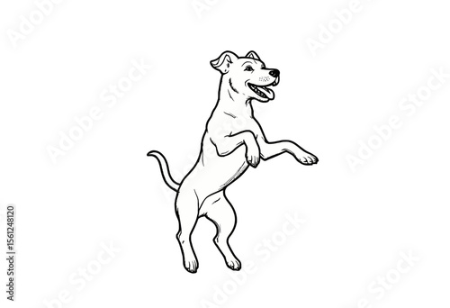 Happy dog standing on hind legs with playful expression  