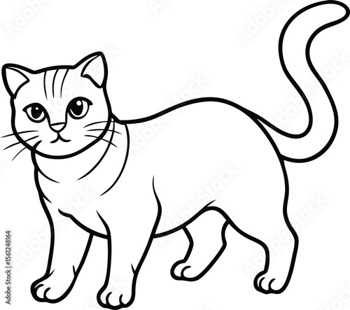 Scottish Fold Cat Vector Illustration in Minimal Cute Line Art Style