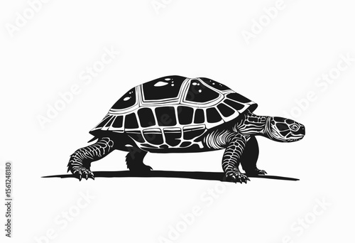 Black and white illustration of a tortoise walking on white background  