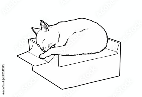 Cat sleeping in a box with one paw hanging over the edge  