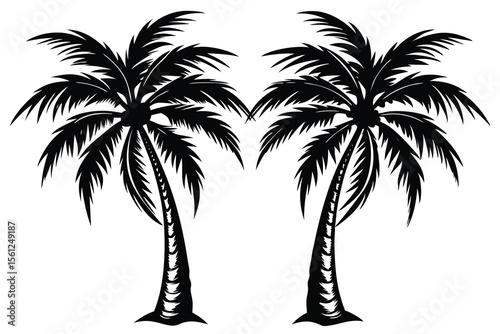 Majestic Tropical Palm Trees Silhouette Illustration
