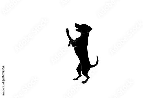 Black dog standing on hind legs with front paws raised  