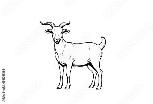 Goat standing in profile illustration on white background  
