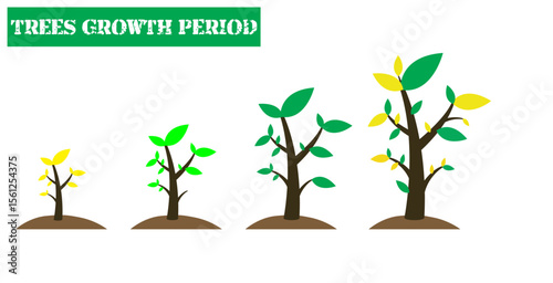 Soybean plant growth. Phenological cycle. Leaf, flower, plant, soy, seed. Flat Illustration.
