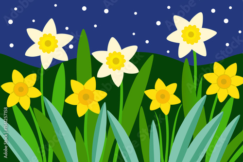 night photography spring meadow daffodils soft sun